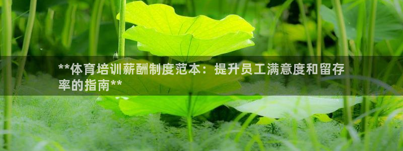 焦点娱乐挂机版下载：**体育培训薪酬制度范本：提升员