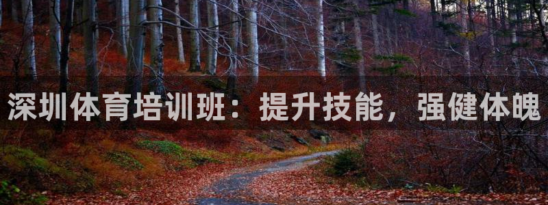 焦点娱乐公司的发展历程简介