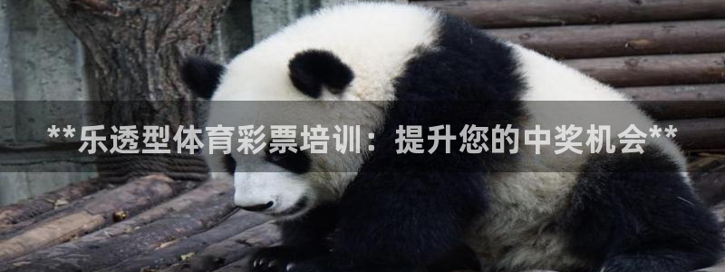 焦点娱乐官方网站首页入口下载