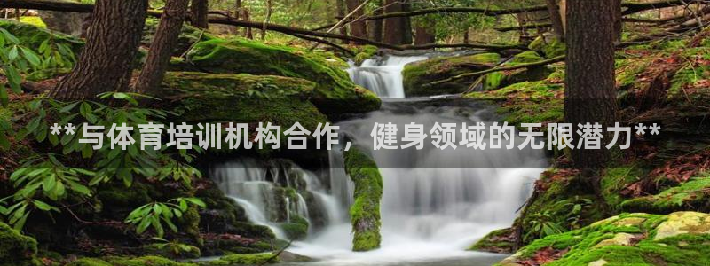 焦点娱乐跨服怎么玩：**与体育培训机构合作，健身领域