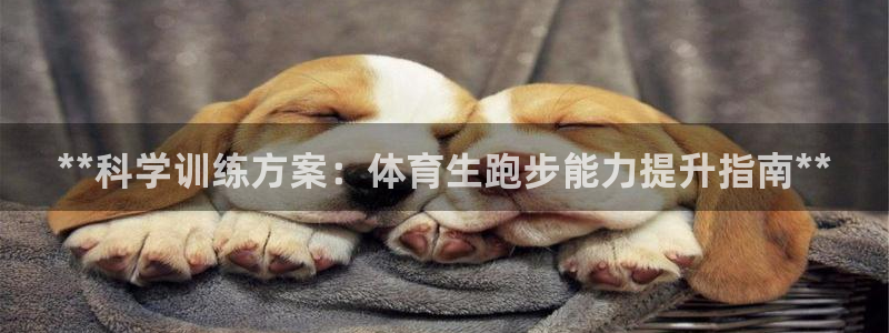焦点娱乐传媒有限公司是干嘛的啊：**科学训练方案：体