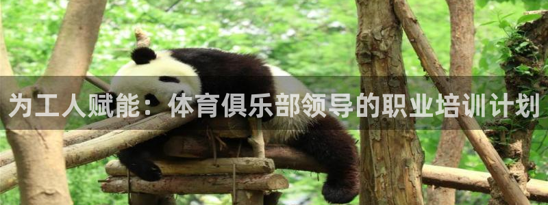焦点娱乐是黑平台吗：为工人赋能：体育俱乐部领导的职业