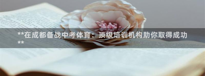 焦点娱乐公司的发展历程简介：**在成都备战中考体育：