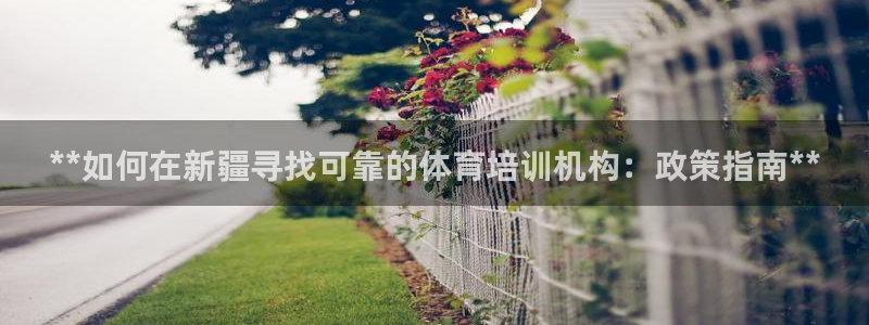 焦点娱乐app下载官网最新版苹果：**如何在新疆寻找