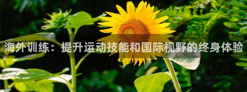 焦点娱乐星的视频：海外训练：提升运动技能和国际视野的