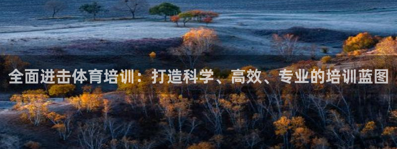 焦点娱乐软件版本下载：全面进击体育培训：打造科学、高