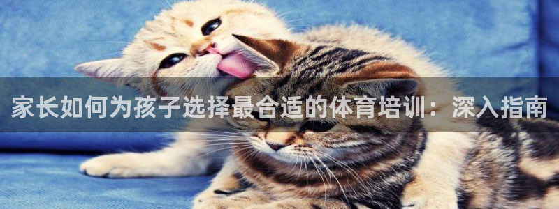 焦点娱乐加速器下载安装：家长如何为孩子选择最合适的体