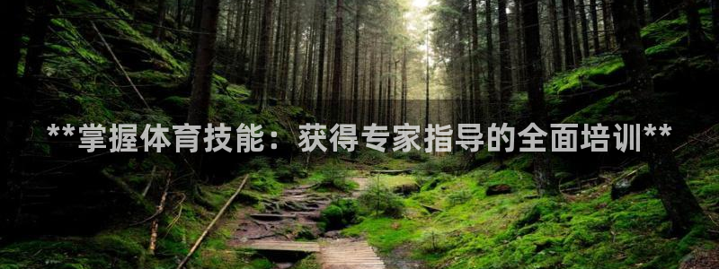 焦点娱乐游戏怎么玩教程：**掌握体育技能：获得专家指