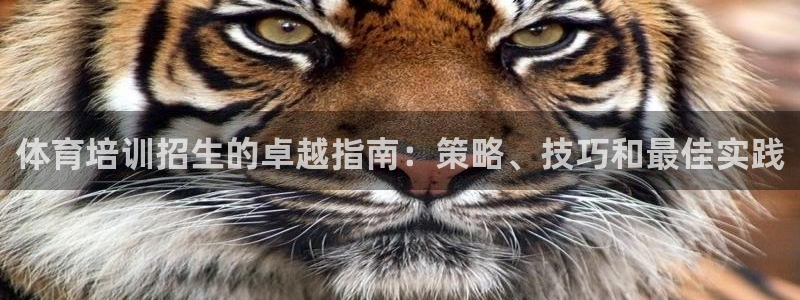 焦点娱乐官方网站下载手机版：体育培训招生的卓越指南：