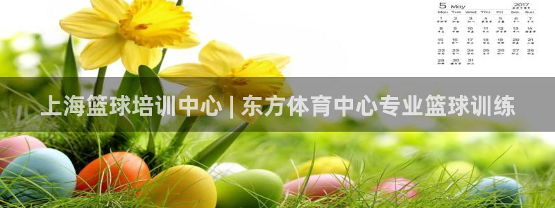 焦点娱乐官方网站首页入口在线观看：上海篮球培训中心 
