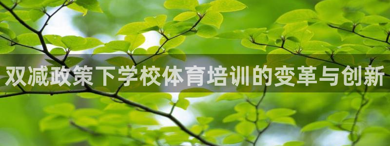 焦点娱乐不出款：双减政策下学校体育培训的变革与创新