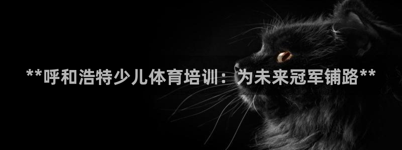 焦点娱乐黑平台曝光：**呼和浩特少儿体育培训：为未来