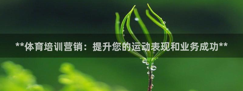 焦点娱乐公司简介：**体育培训营销：提升您的运动表现