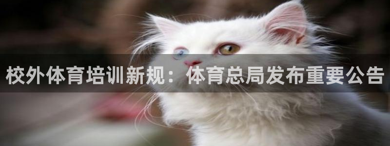 焦点娱乐传媒有限公司怎么样知乎招聘：校外体育培训新规