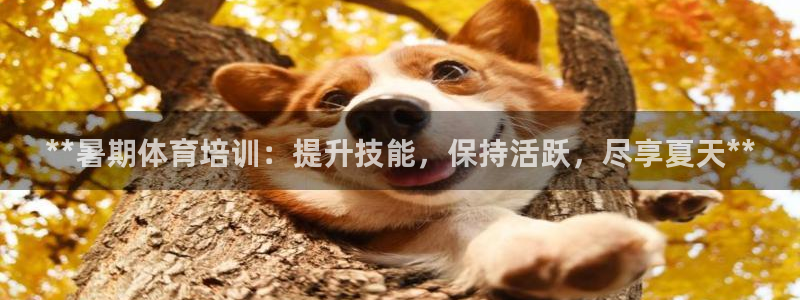 焦点娱乐网站下载地址在哪：**暑期体育培训：提升技能