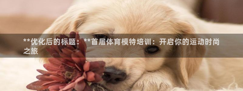 焦点娱乐官网下载苹果：**优化后的标题：**首届体育