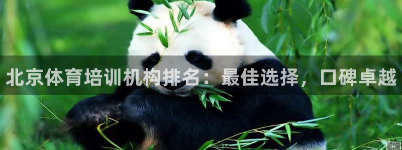 焦点娱乐官网下载安装苹果：北京体育培训机构排名：最佳