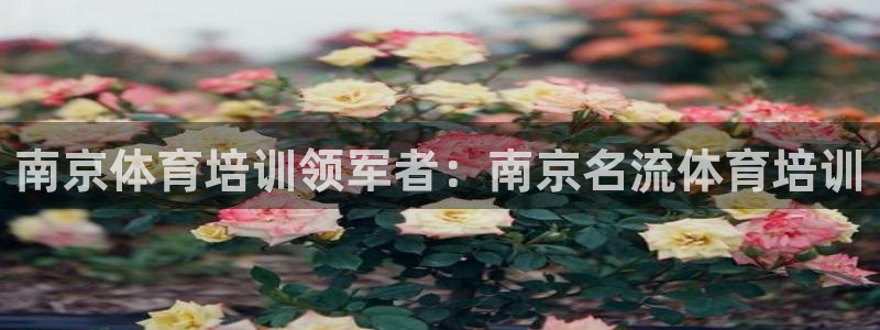 焦点娱乐平台底7O777
