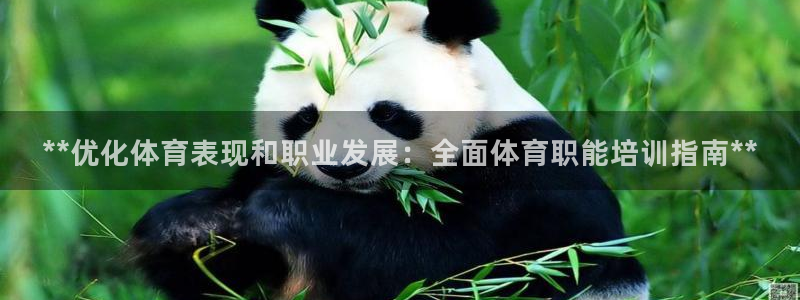 焦点娱乐门徒娱乐骗局曝光：**优化体育表现和职业发展
