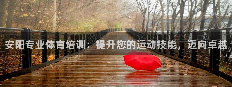 焦点娱乐app下载官网：安阳专业体育培训：提升您的运