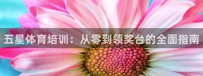 焦点娱乐平台客服电话号码查询：五星体育培训：从零到领