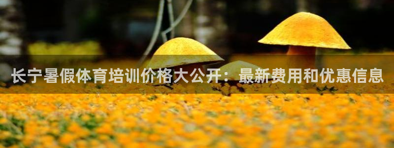 焦点娱乐vs皇族不败神话