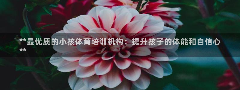 焦点娱乐官方网站入口下载手机版：**最优质的小孩体育