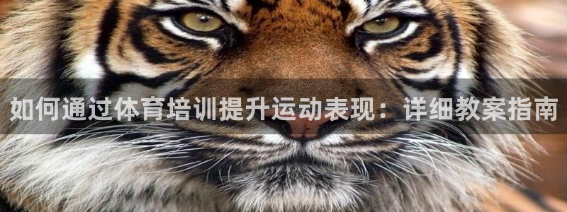 焦点娱乐平台供7O777：如何通过体育培训提升运动表