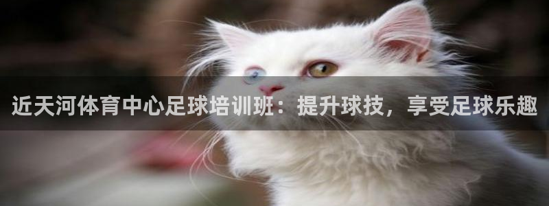 焦点娱乐游戏怎么玩