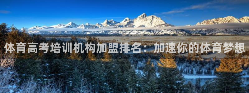 焦点娱乐官网下载安装手机版苹果：体育高考培训机构加盟