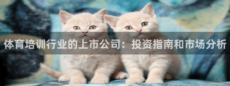 焦点娱乐官网下载苹果手机版：体育培训行业的上市公司：