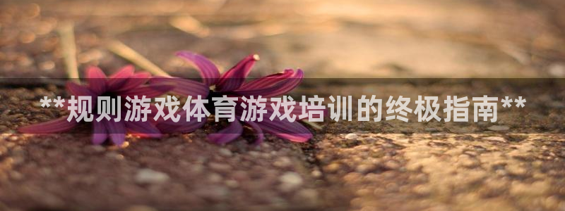 焦点娱乐总代理在哪：**规则游戏体育游戏培训的终极指
