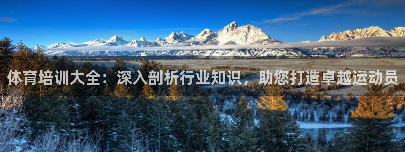 焦点娱乐平台玩法官方导师：体育培训大全：深入剖析行业