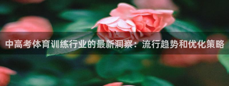 焦点娱乐官网下载安装手机版：中高考体育训练行业的最新