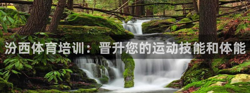 焦点娱乐说说：汾西体育培训：晋升您的运动技能和体能