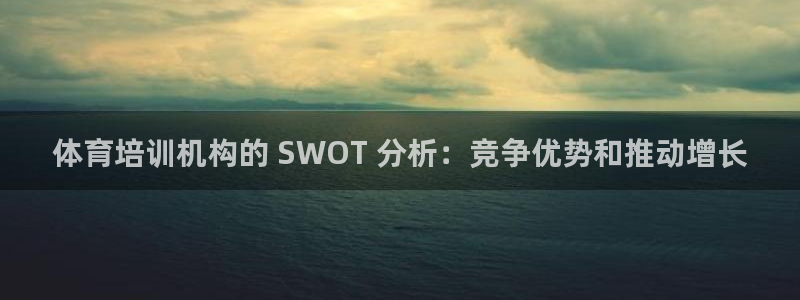 焦点娱乐官网首页入口网址：体育培训机构的 SWOT 
