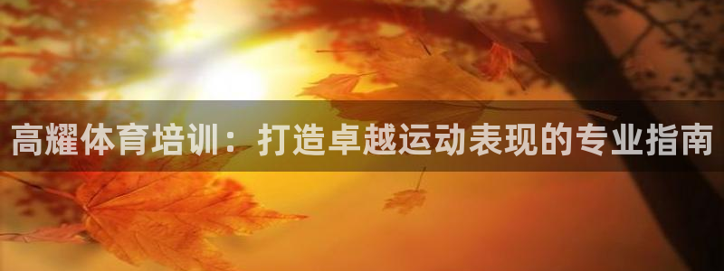 焦点娱乐拉菲11月9日：高耀体育培训：打造卓越运动表
