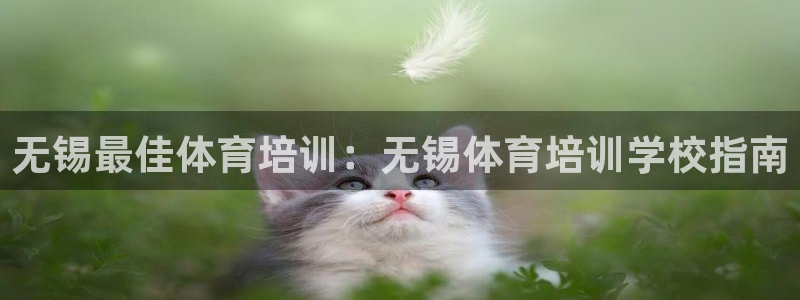 焦点娱乐游戏怎么玩的：无锡最佳体育培训：无锡体育培训