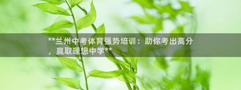 焦点娱乐公司简介图片：**兰州中考体育强势培训：助你