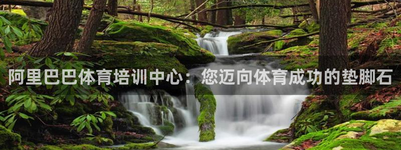 焦点娱乐公司简介图片：阿里巴巴体育培训中心：您迈向体