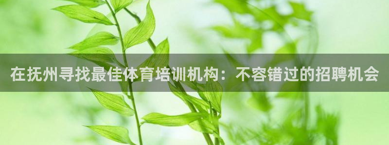 焦点娱乐无法提现怎么回事：在抚州寻找最佳体育培训机构