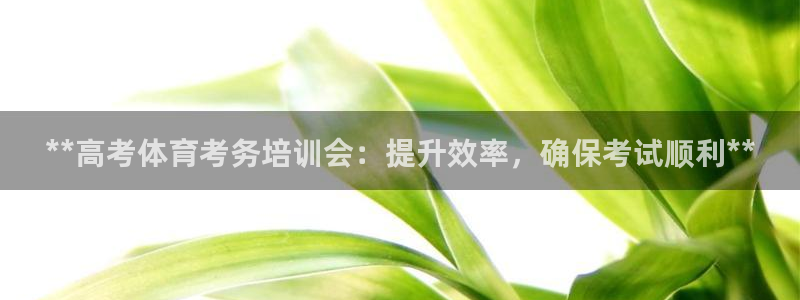 焦点娱乐公司简介资料：**高考体育考务培训会：提升效