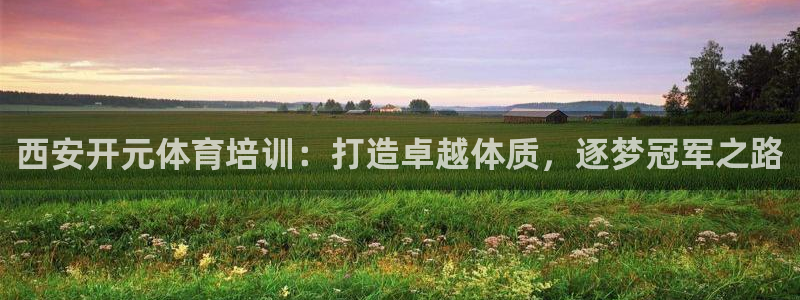 焦点娱乐平台留7O777：西安开元体育培训：打造卓越