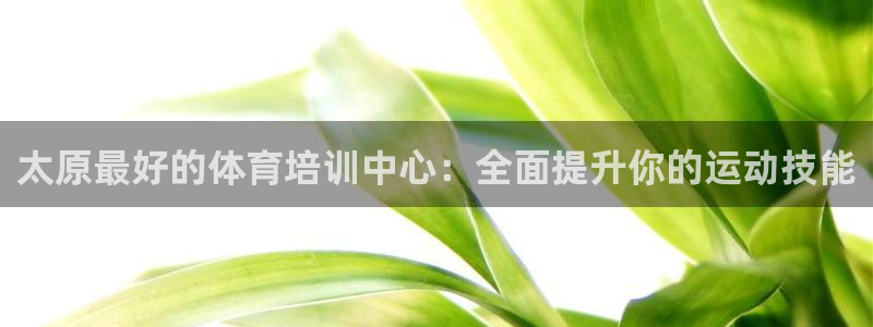 焦点娱乐app下载官网苹果版：太原最好的体育培训中心