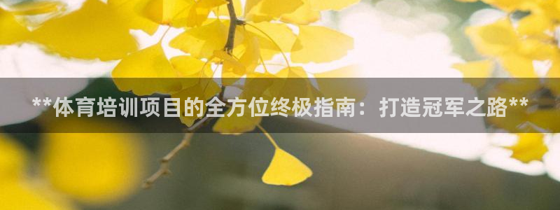 焦点娱乐黑平台：**体育培训项目的全方位终极指南：打