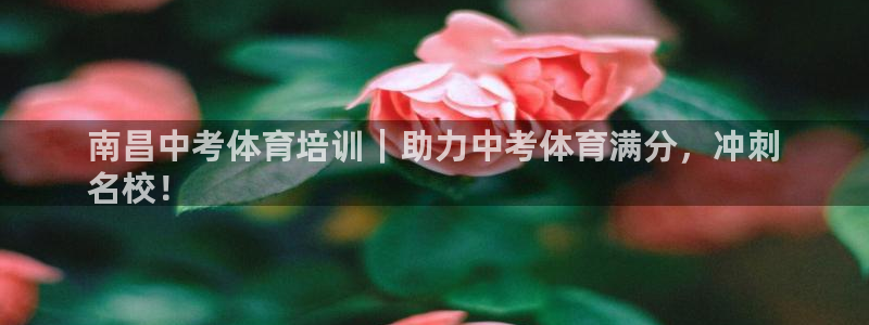 焦点娱乐vs皇族不败神话小说：南昌中考体育培训｜助力