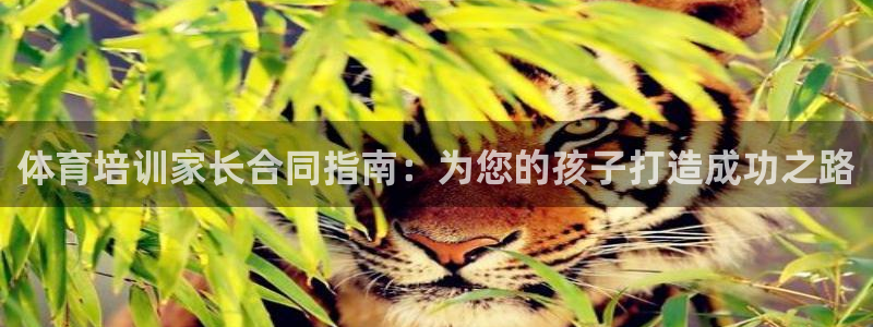 焦点娱乐拉菲10：体育培训家长合同指南：为您的孩子打