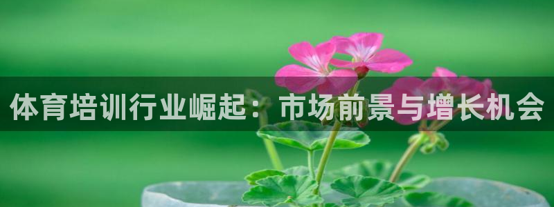 焦点娱乐vs皇族不败神话小说：体育培训行业崛起：市场