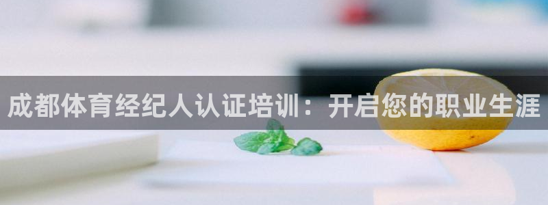 焦点娱乐加速器：成都体育经纪人认证培训：开启您的职业