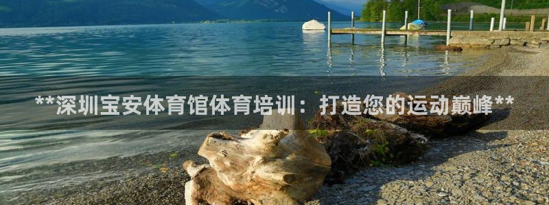 焦点娱乐平台登录不了了：**深圳宝安体育馆体育培训：